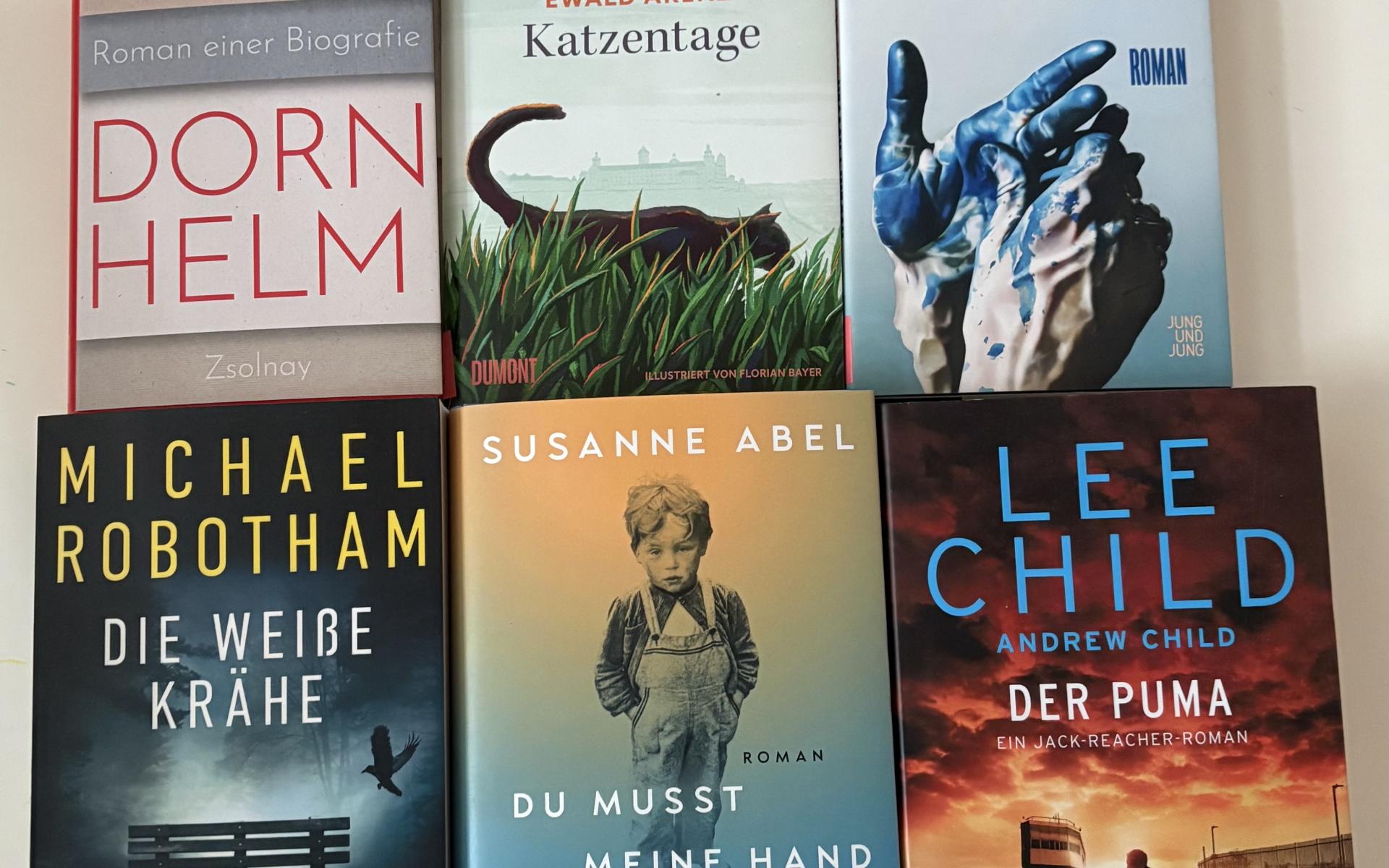 Buchtipps November 2025 - Buchcovers
