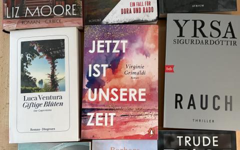 Neuzugänge Foto von den Covers